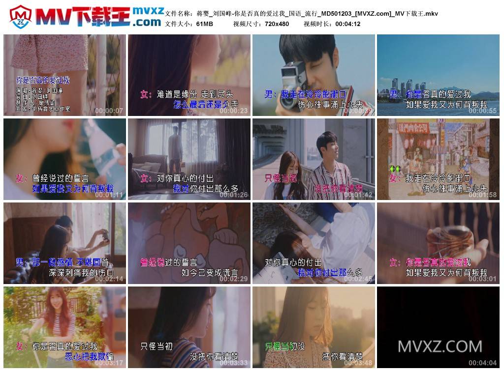 蒋婴_刘国峰-你是否真的爱过我_国语_流行_MD501203